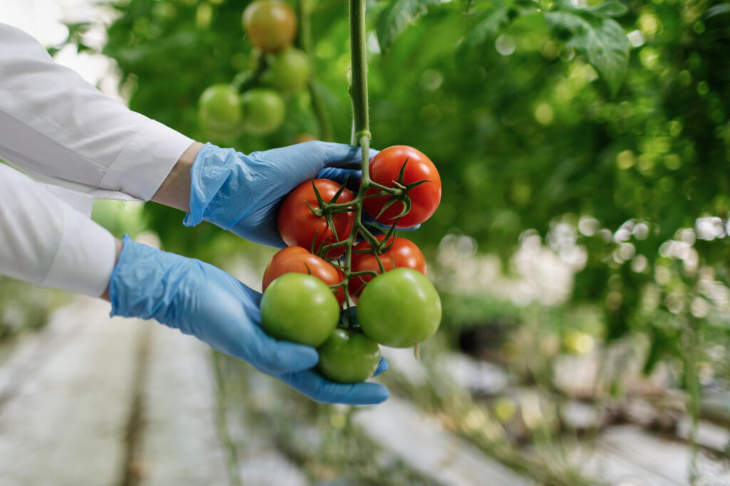 AGRO FOOD SECTOR